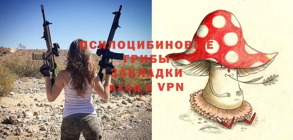 прущая мука Арсеньев