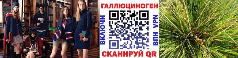 Псилоцибиновые грибы Psilocybe Кремёнки